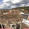 12_30-nest.jpg