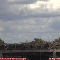12_35-mast.jpg