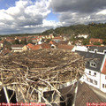 12_35-nest.jpg