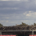 12_40-mast.jpg