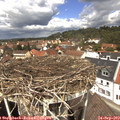 12_40-nest.jpg