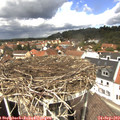 12_45-nest.jpg