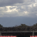 12_55-mast.jpg