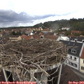 12_55-nest.jpg
