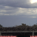 13_00-mast.jpg