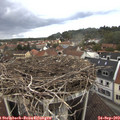 13_00-nest.jpg