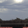13_05-mast.jpg