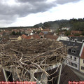 13_05-nest.jpg