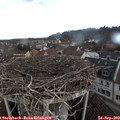 13_10-nest.jpg