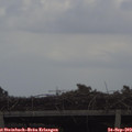 13_15-mast.jpg
