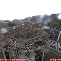 13_15-nest.jpg