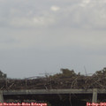 13_20-mast.jpg