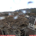 13_20-nest.jpg