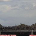 13_25-mast.jpg
