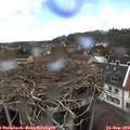 13_25-nest.jpg