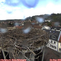 13_30-nest.jpg