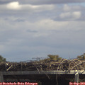 13_35-mast.jpg