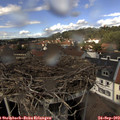 13_35-nest.jpg