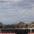 13_40-mast.jpg