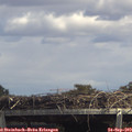 13_45-mast.jpg