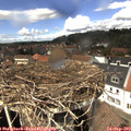 13_45-nest.jpg