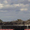 13_55-mast.jpg