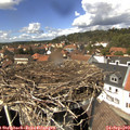 13_55-nest.jpg