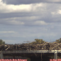 14_00-mast.jpg