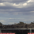 14_05-mast.jpg