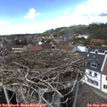 14_05-nest.jpg