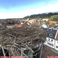 14_10-nest.jpg