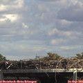 14_15-mast.jpg