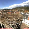 14_15-nest.jpg