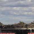 14_20-mast.jpg