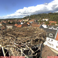 14_20-nest.jpg