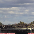 14_25-mast.jpg