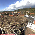 14_25-nest.jpg