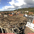 14_30-nest.jpg
