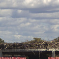 14_35-mast.jpg