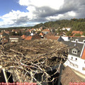 14_35-nest.jpg