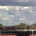 14_40-mast.jpg