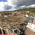 14_40-nest.jpg