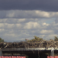 14_45-mast.jpg