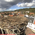 14_50-nest.jpg