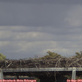 14_55-mast.jpg