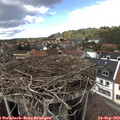 14_55-nest.jpg
