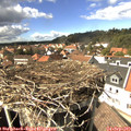 15_00-nest.jpg