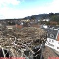 15_05-nest.jpg
