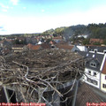 15_10-nest.jpg