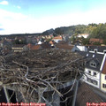 15_15-nest.jpg